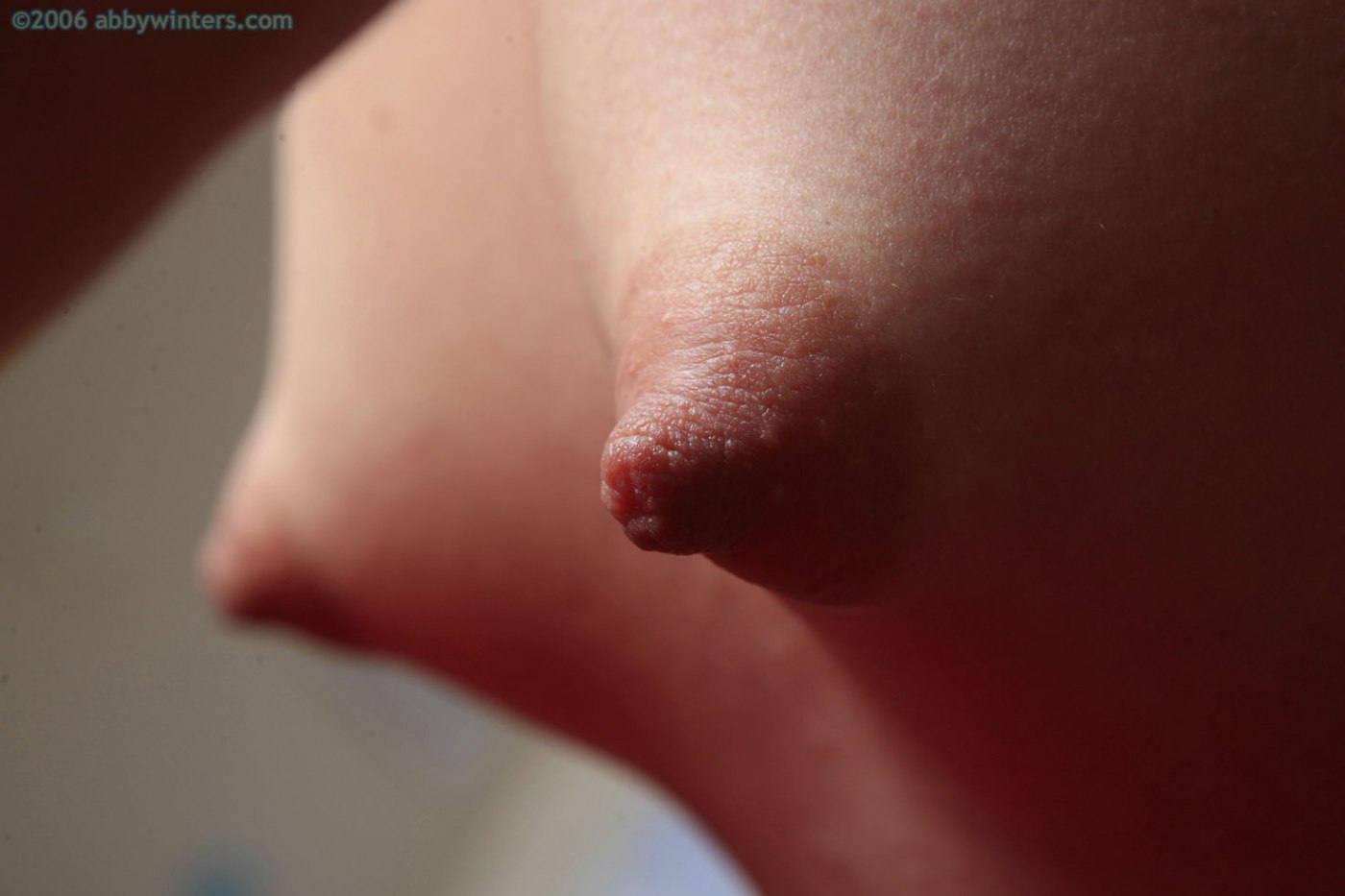 Puffy Nipples Close Up