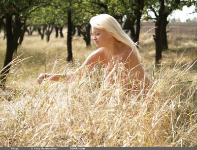 Volle natuurlijke ronde borsten bloot