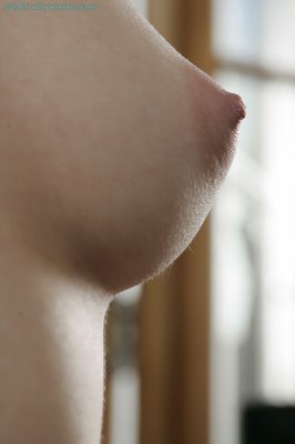 Meisje van school kleedt uit voor de camera