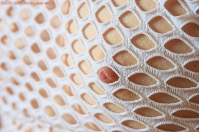 Zo vinger je je anus als een meisje