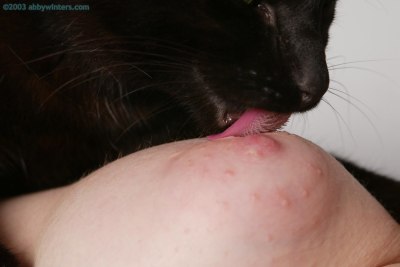 Meid experimenteert met haar poes