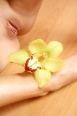 Jong opbloeiend meisje helemaal naakt